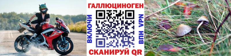 Псилоцибиновые грибы MAGIC MUSHROOMS купить закладку KRAKEN маркетплейс Олёкминск